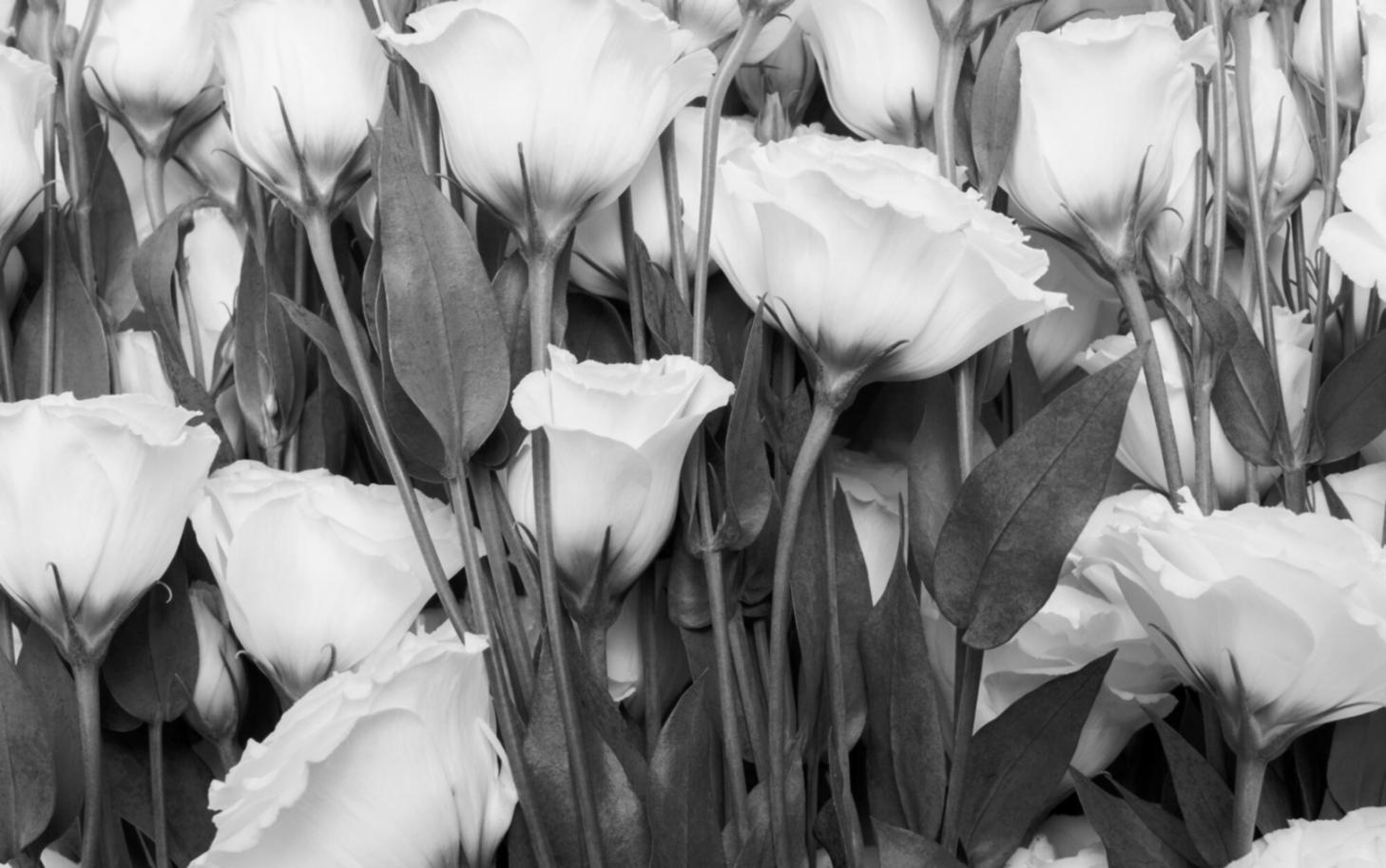 Профессиональная флористическая композиция