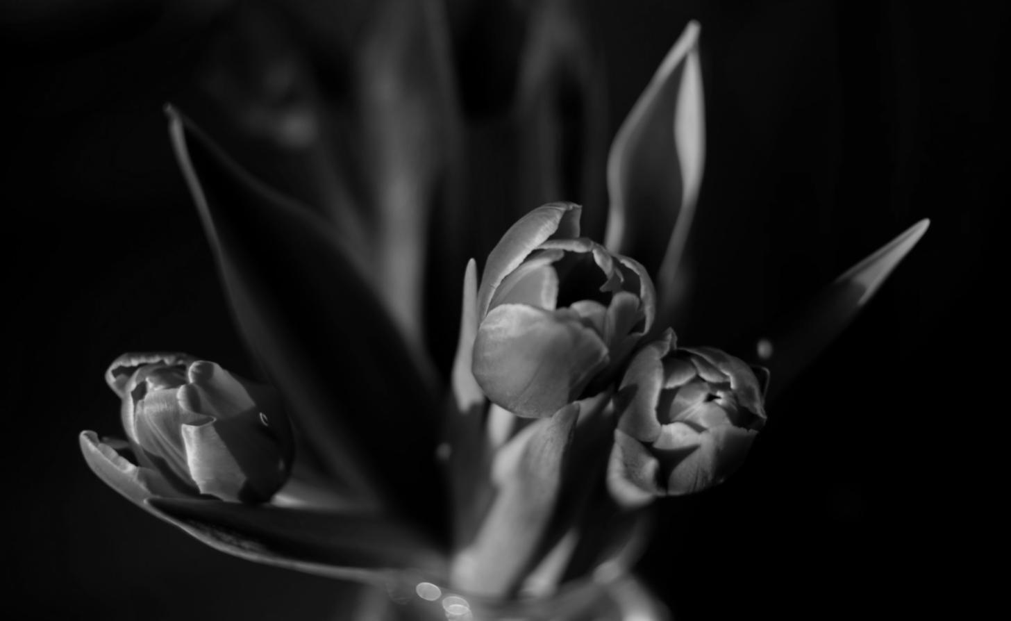 Процесс обучения флористике